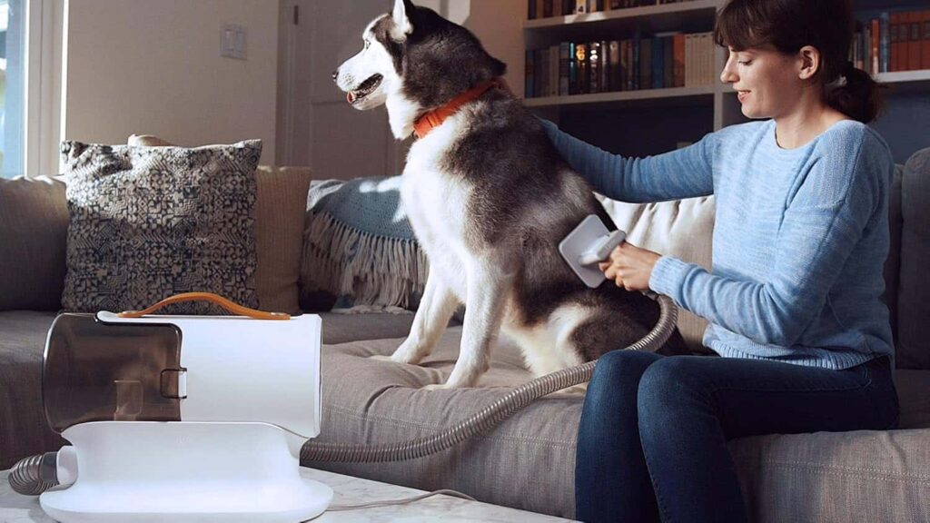 Airrobo Pg100 Pet Grooming Vacuum Energy Consumption Airrobo Pg100 Pet Grooming Vacuum Energy Consumption
