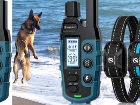 BOUSNIC Dog Shock Collar 2 Dogs