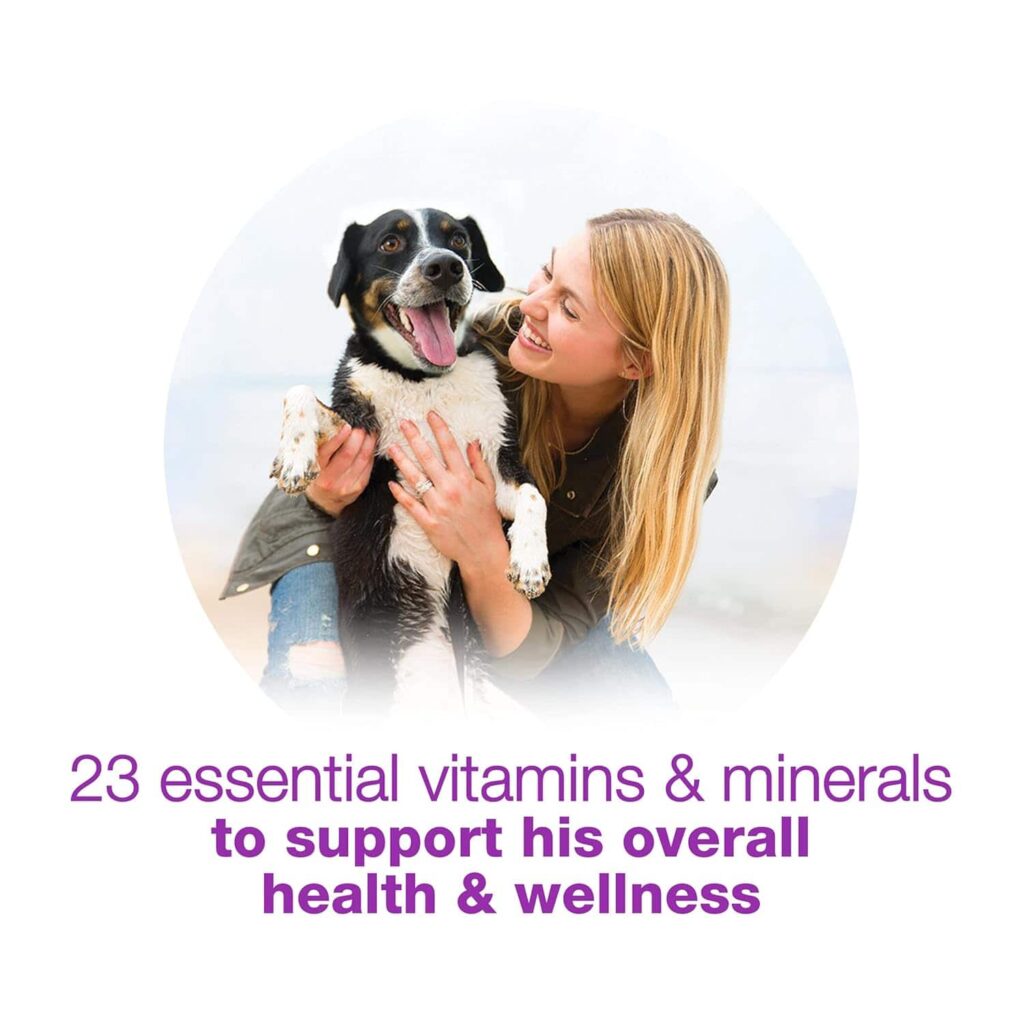 Beneful Chopped Blends 12 Pack Benefits Of Beneful Chopped Blends Beneful Chopped Blends 12 Pack Benefits Of Beneful Chopped Blends