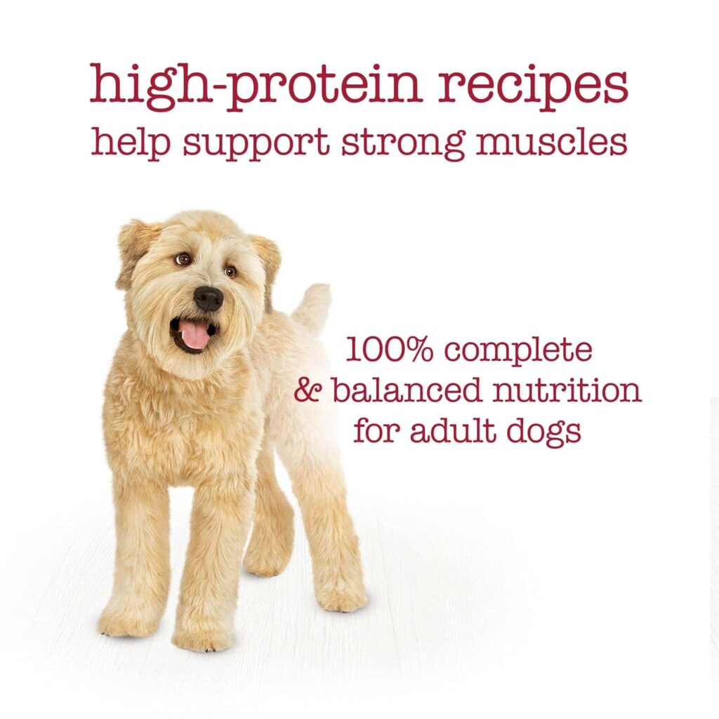 Beneful Medleys 30 Pack Wet Dog Food with high-protein Beneful Medleys 30 Pack Wet Dog Food with high-protein