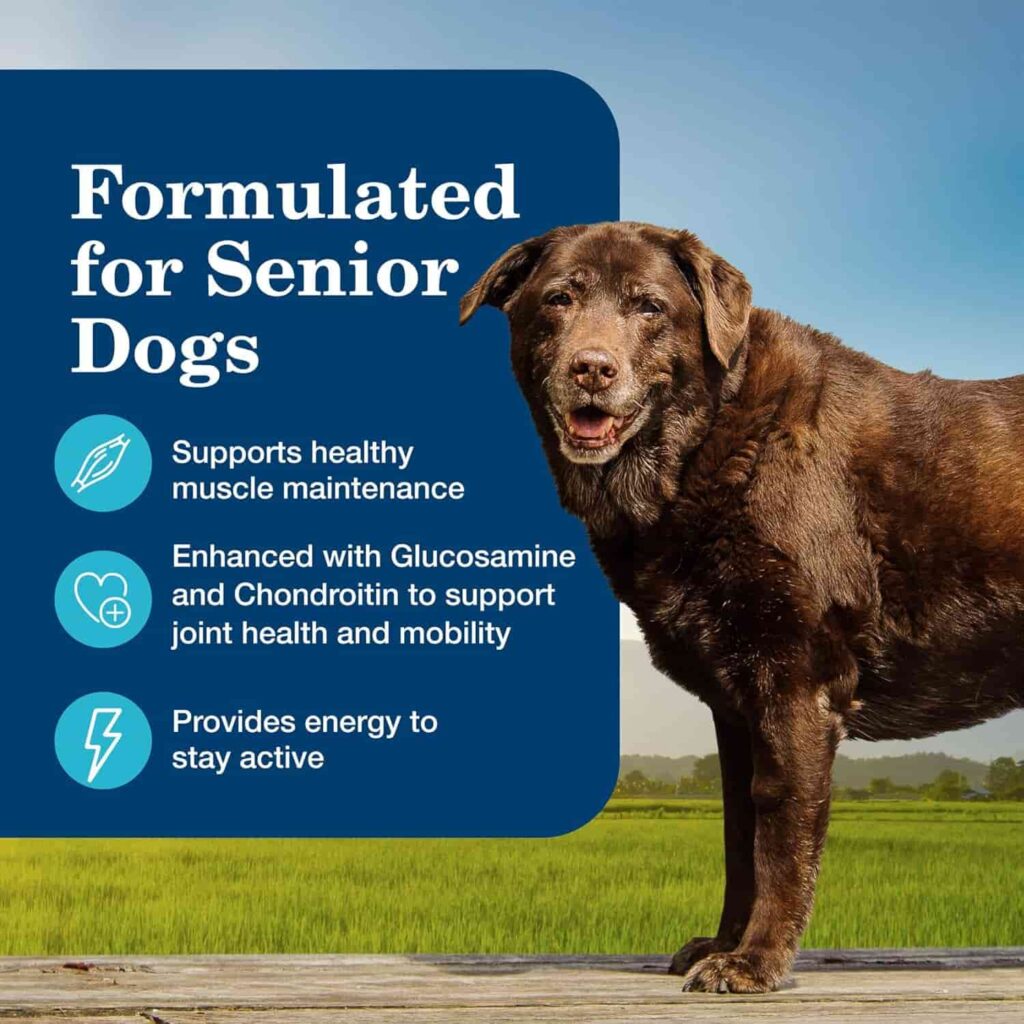 Blue Buffalo Senior Wet Dog Food Importance Of Senior Dog Nutrition Blue Buffalo Senior Wet Dog Food Importance Of Senior Dog Nutrition