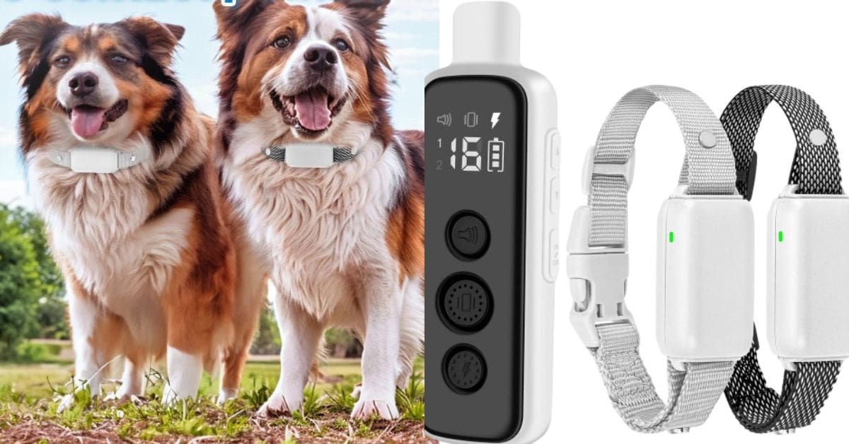 Bousnic Dog Shock Collar for 2 Dogs Electric