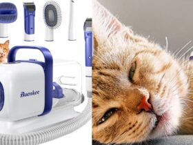Buenkee Dog Grooming Kit
