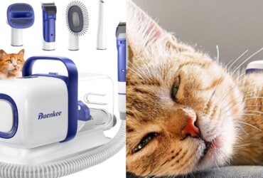 Buenkee Dog Grooming Kit
