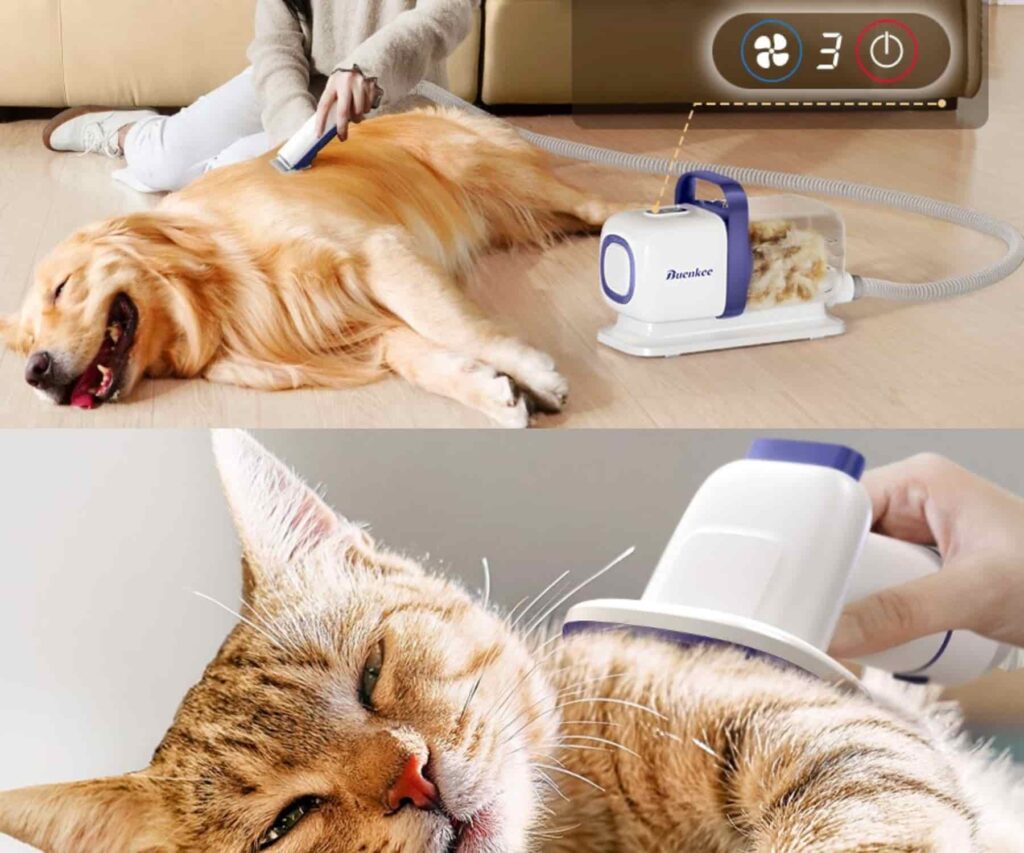 Buenkee Dog Grooming Kit With Pet Grooming Vacuum Grooming Tips Buenkee Dog Grooming Kit With Pet Grooming Vacuum Grooming Tips