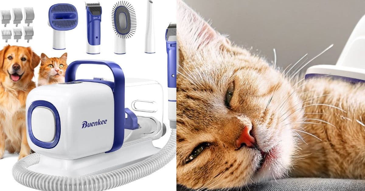 Buenkee Dog Grooming Kit