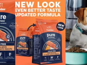 Canidae Salmon Dog Food