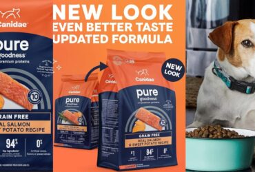 Canidae Salmon Dog Food
