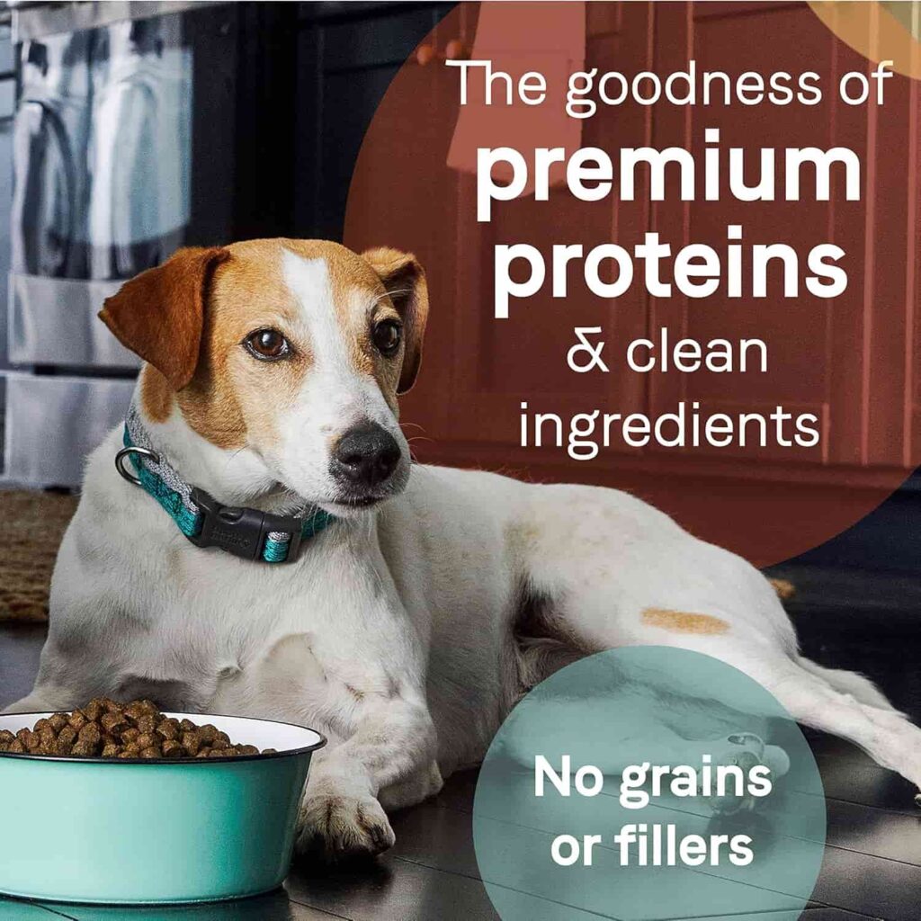 Canidae Salmon Dog Food high quality natural benefits Canidae Salmon Dog Food high quality natural benefits