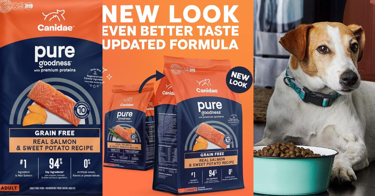 Canidae Salmon Dog Food