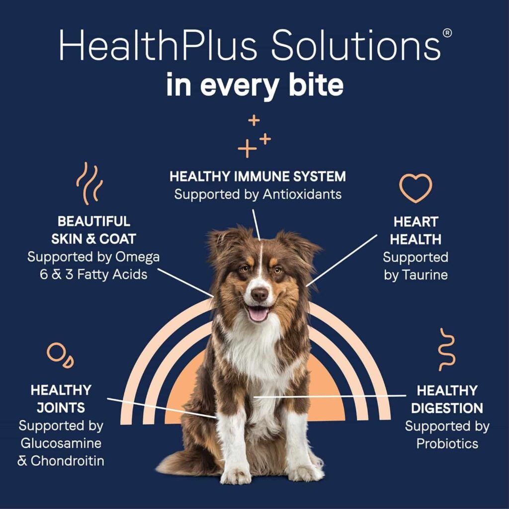 Canidae salmon dog food great health value Canidae salmon dog food great health value