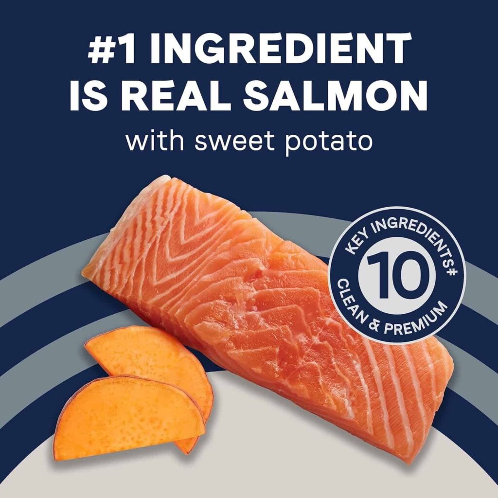Canidae salmon dog food real salmon is the key ingredient Canidae salmon dog food real salmon is the key ingredient