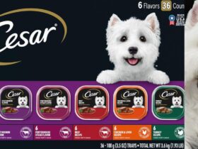 Cesar Classic Loaf in Sauce Grilled Chicken