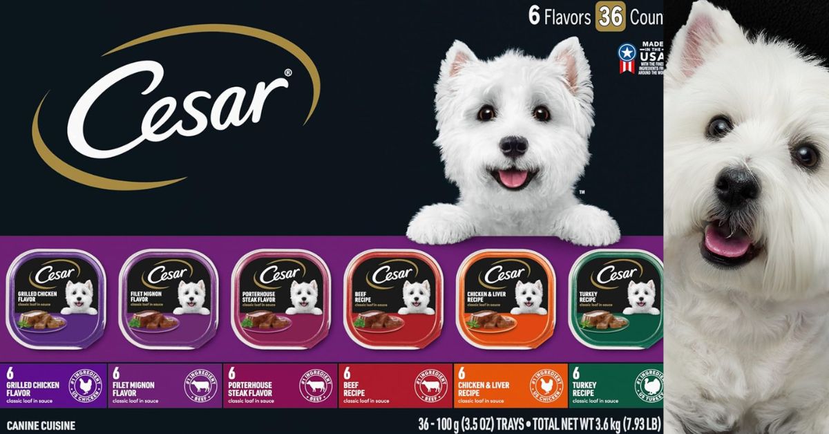 Cesar Classic Loaf in Sauce Grilled Chicken