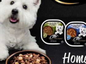 Cesar Home Delights
