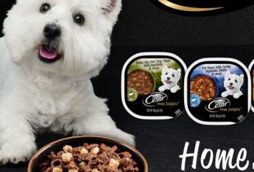 Cesar Home Delights