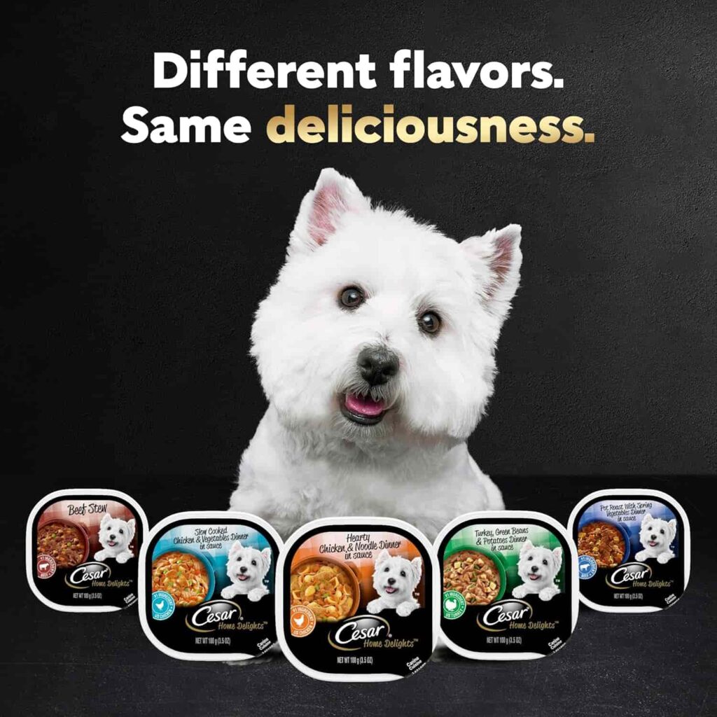 Cesar Home Delights wet dog food Cesar Home Delights wet dog food