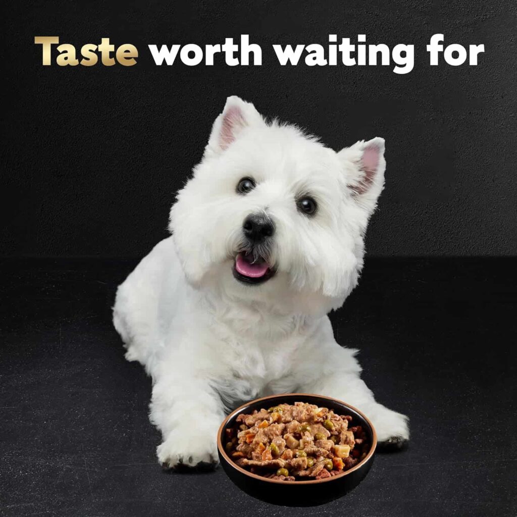 Cesar Home Delights wet dog food Home Delights For Puppies Cesar Home Delights wet dog food Home Delights For Puppies