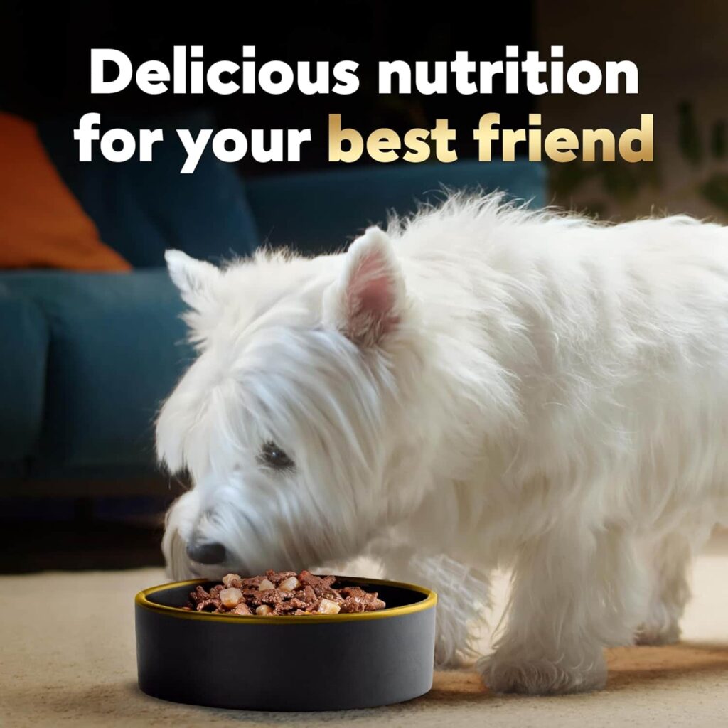 Cesar Home Delights wet dog food quality and flavor Cesar Home Delights wet dog food quality and flavor