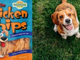 Chip's Naturals Doggie Chicken Chips