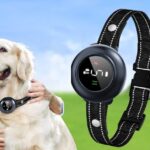 Colofrog Dog Collar