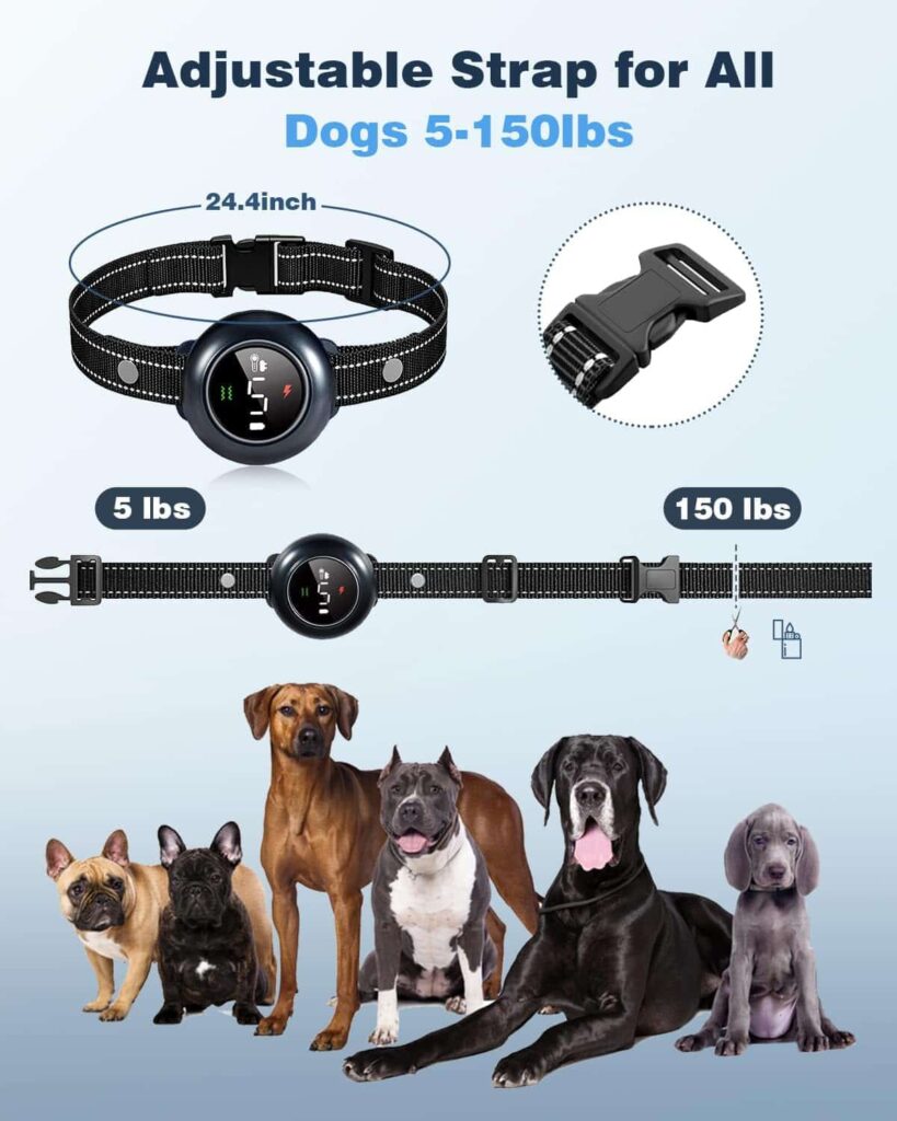 Colofrog Dog Collar 2-in-1 adjustable strap Colofrog Dog Collar 2-in-1 adjustable strap