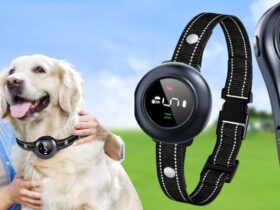 Colofrog Dog Collar