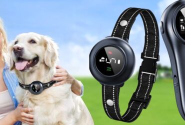 Colofrog Dog Collar