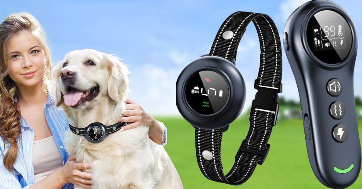 Colofrog Dog Collar