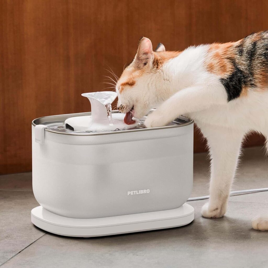 Dockstream Cat Water Fountain Health Benefits