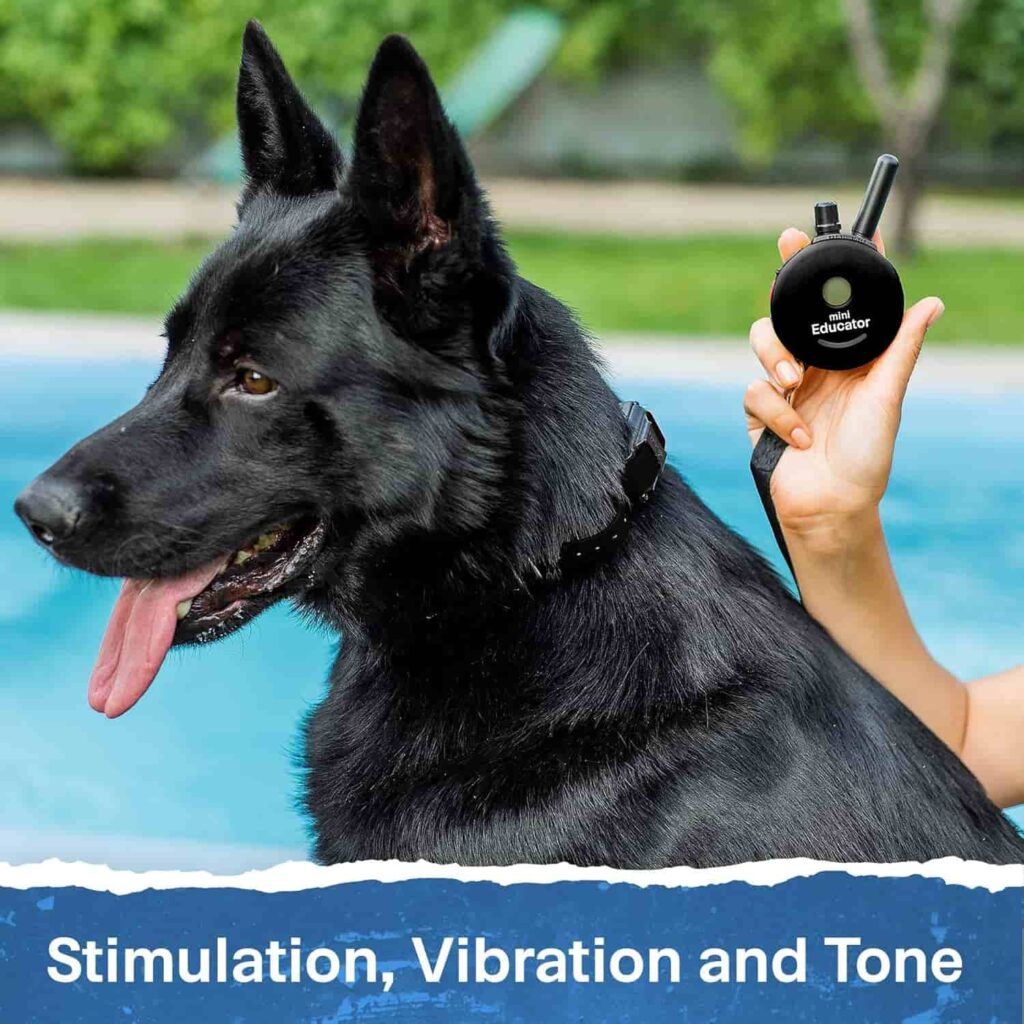 Educator ET-300 Black Dog Training Collar Vibration And Tone, Stimulation Educator ET-300 Black Dog Training Collar Vibration And Tone, Stimulation