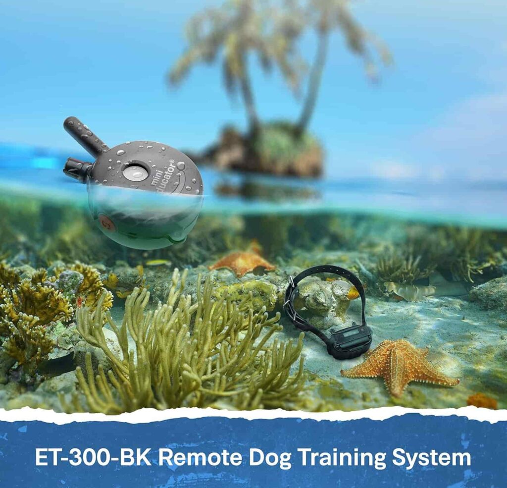 Educator ET-300 Black Dog Training Collar training system Educator ET-300 Black Dog Training Collar training system