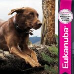 Eukanuba Adult Large Breed Dry Dog Food