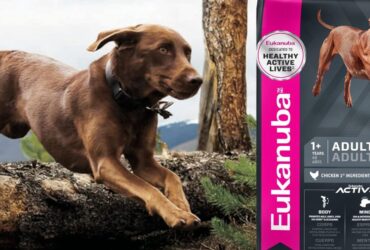 Eukanuba Adult Large Breed Dry Dog Food