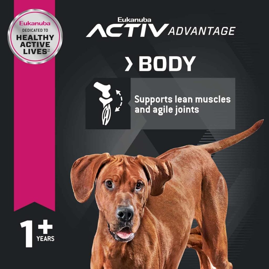 Eukanuba adult large breed dry dog food support lean muscles and agile joints Eukanuba adult large breed dry dog food support lean muscles and agile joints