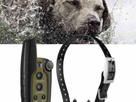 Garmin Sport PRO