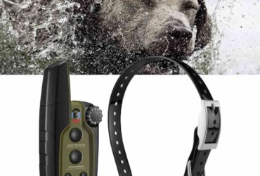 Garmin Sport PRO