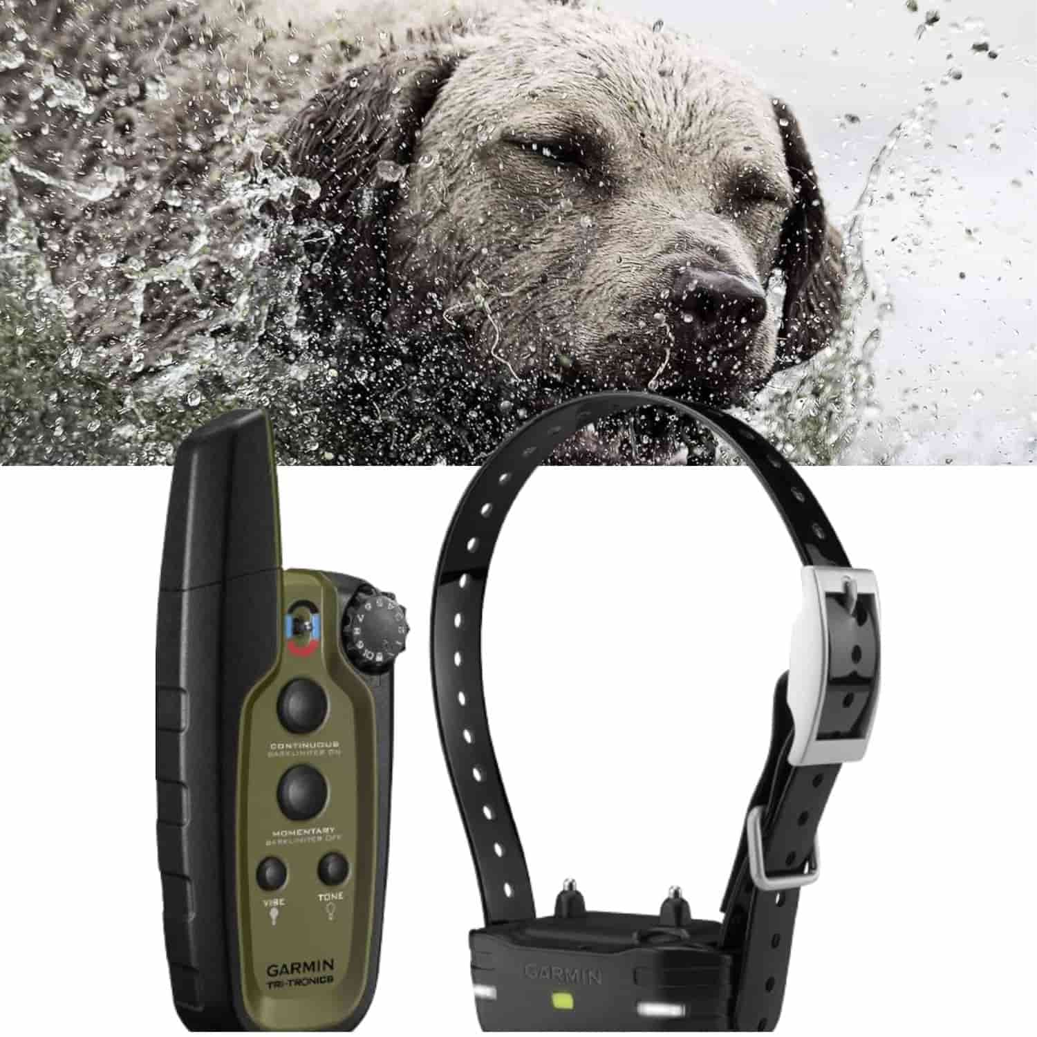 Garmin Sport PRO