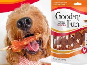 Good 'N' Fun Triple Flavor Kabobs