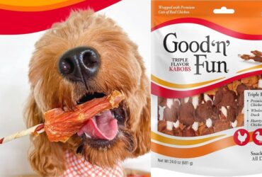 Good 'N' Fun Triple Flavor Kabobs