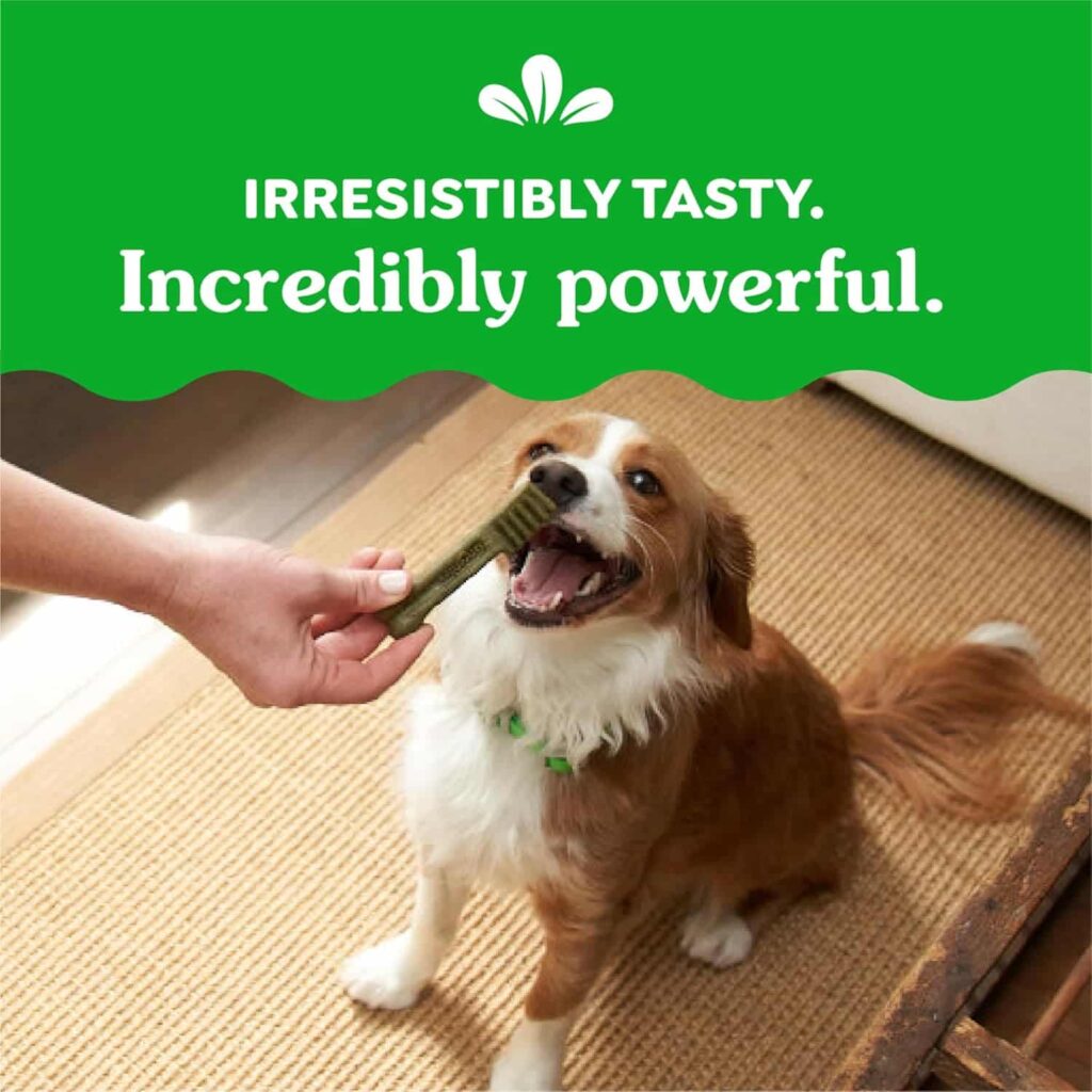 Greenies Original Petite Dog Dental Treats, tasty and powerful, make the dog healthy Greenies Original Petite Dog Dental Treats, tasty and powerful, make the dog healthy