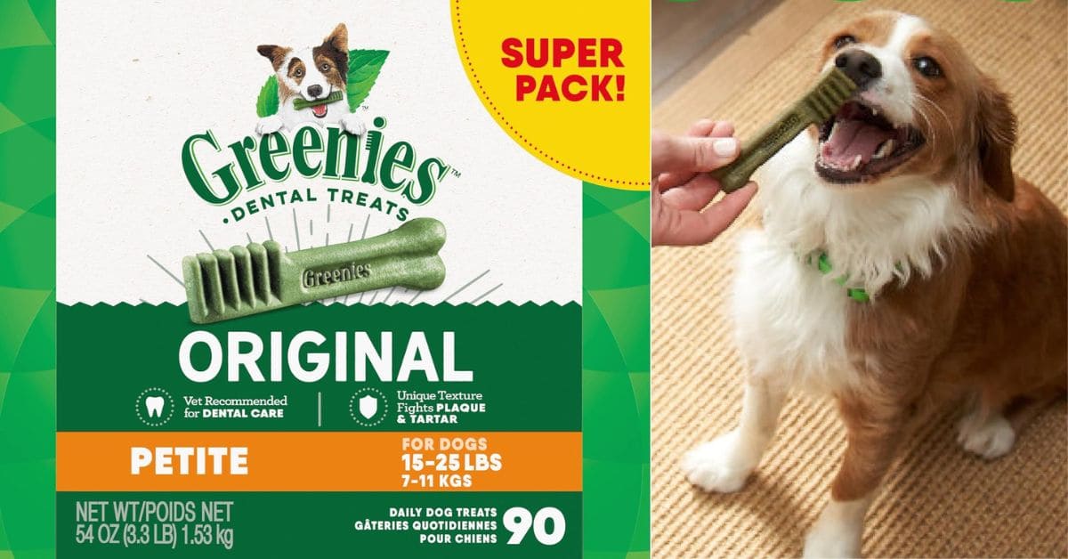 Greenies Original Petite Dog Dental Treats