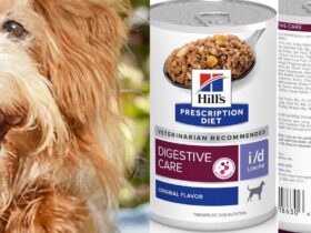 Hill's Low Fat Dog Food for Pancreatitis