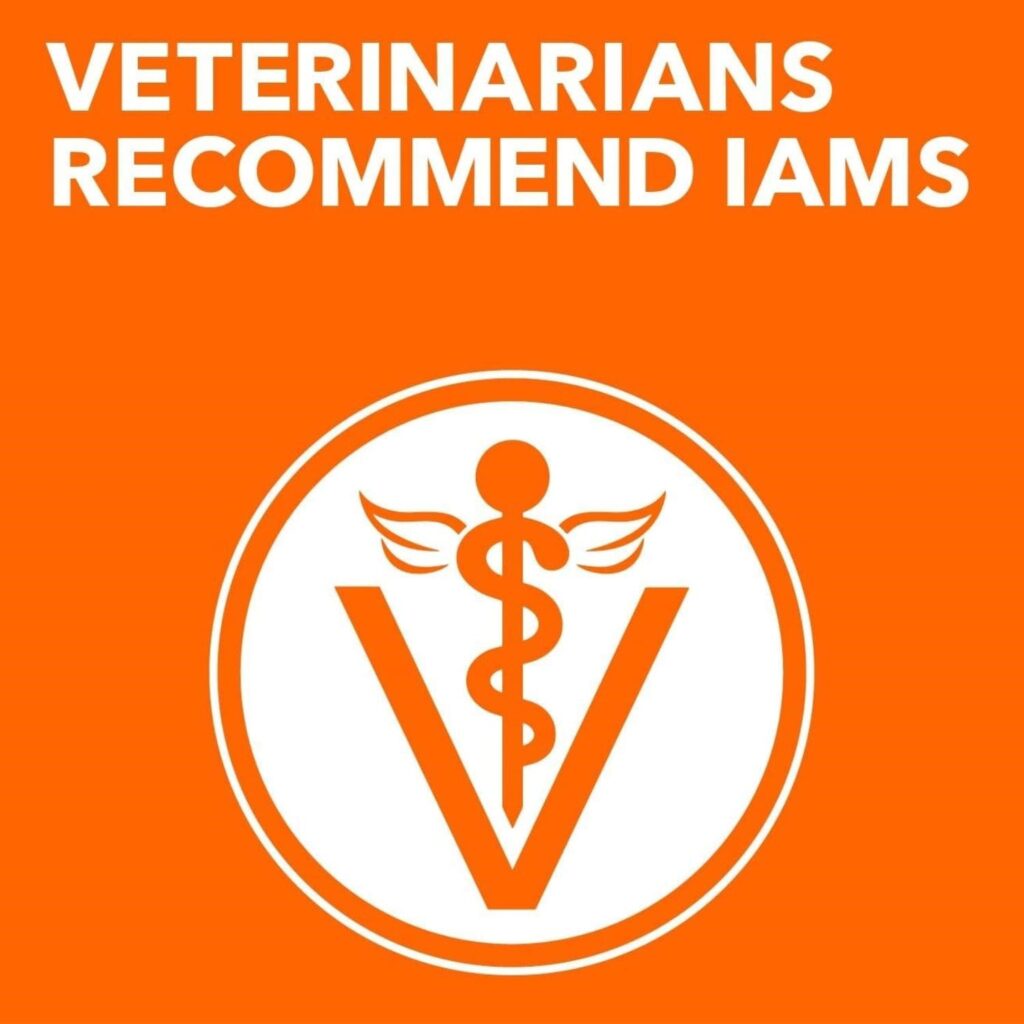 IAMS Proactive Health Healthy Kitten Veterinary recommended IAMS Proactive Health Healthy Kitten Veterinary recommended