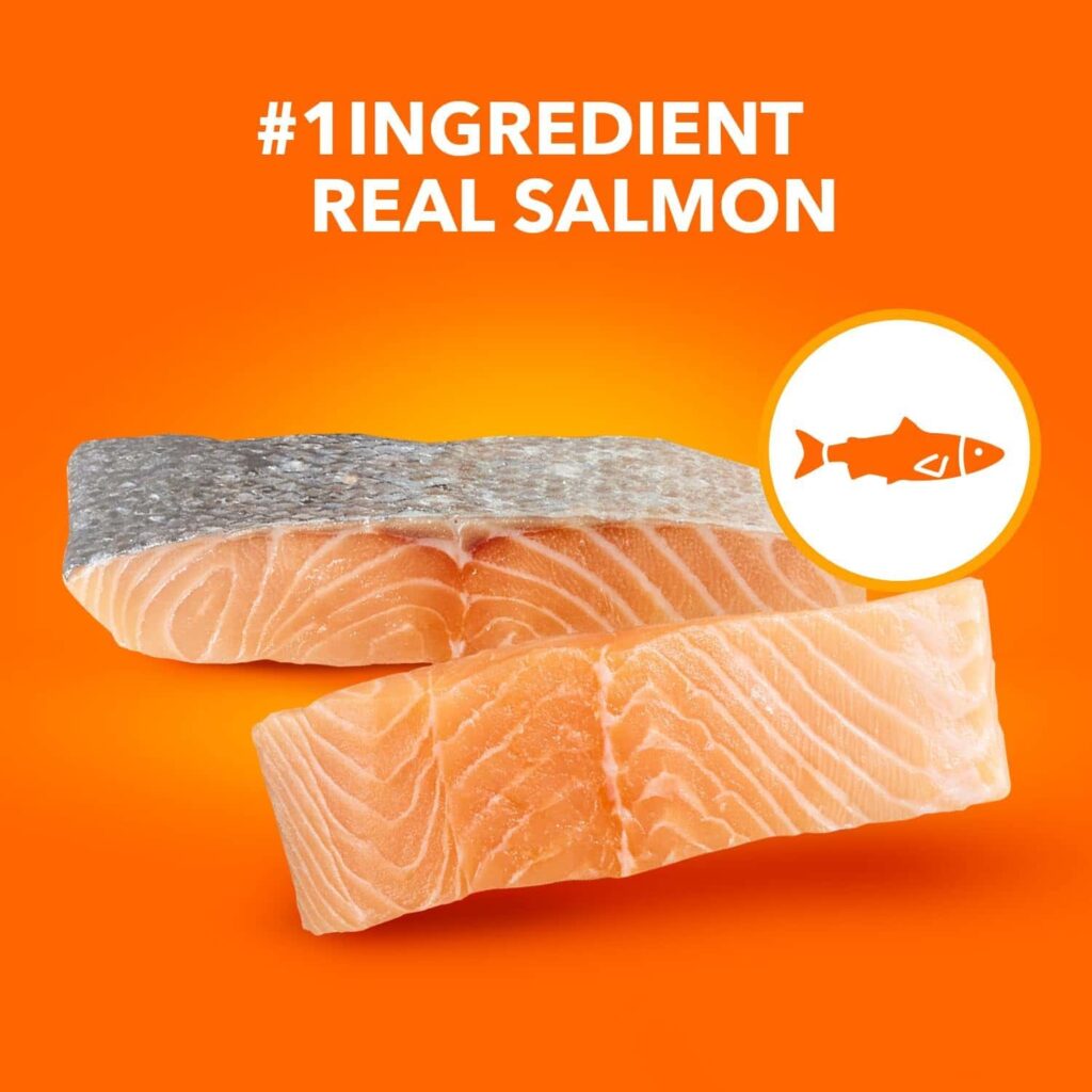 IAMS salmon cat food 16 lb Salmon As A Key Ingredient