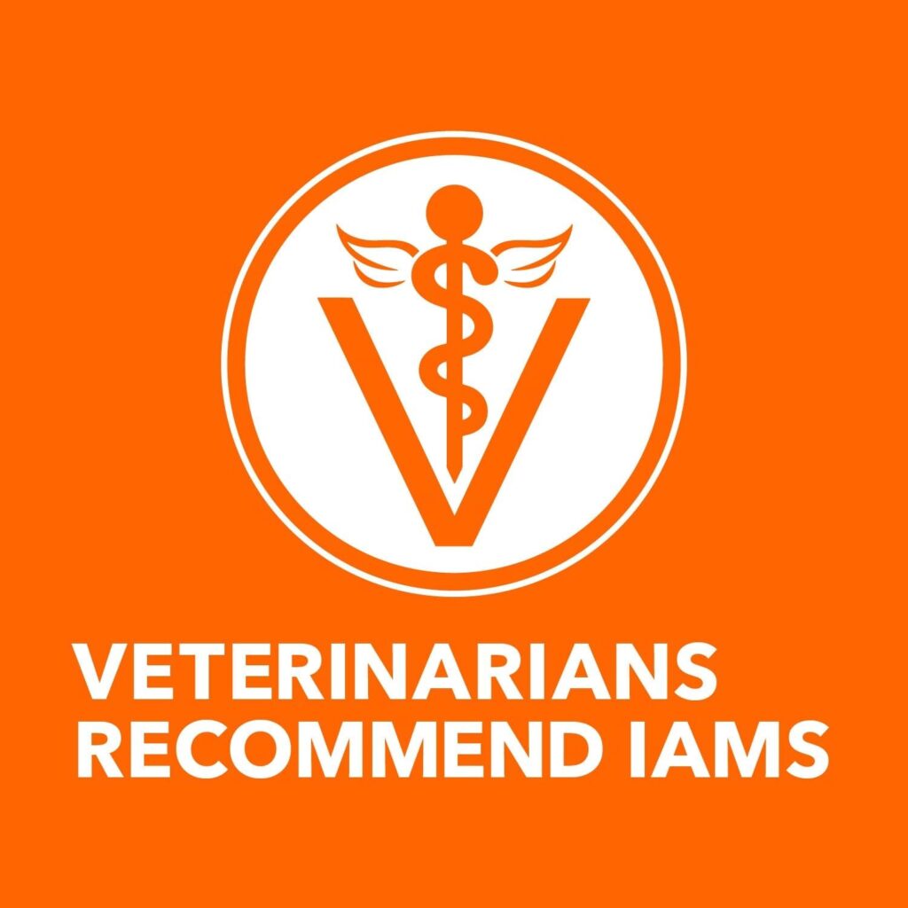 IAMS salmon cat food 16 lb Veterinary recommended