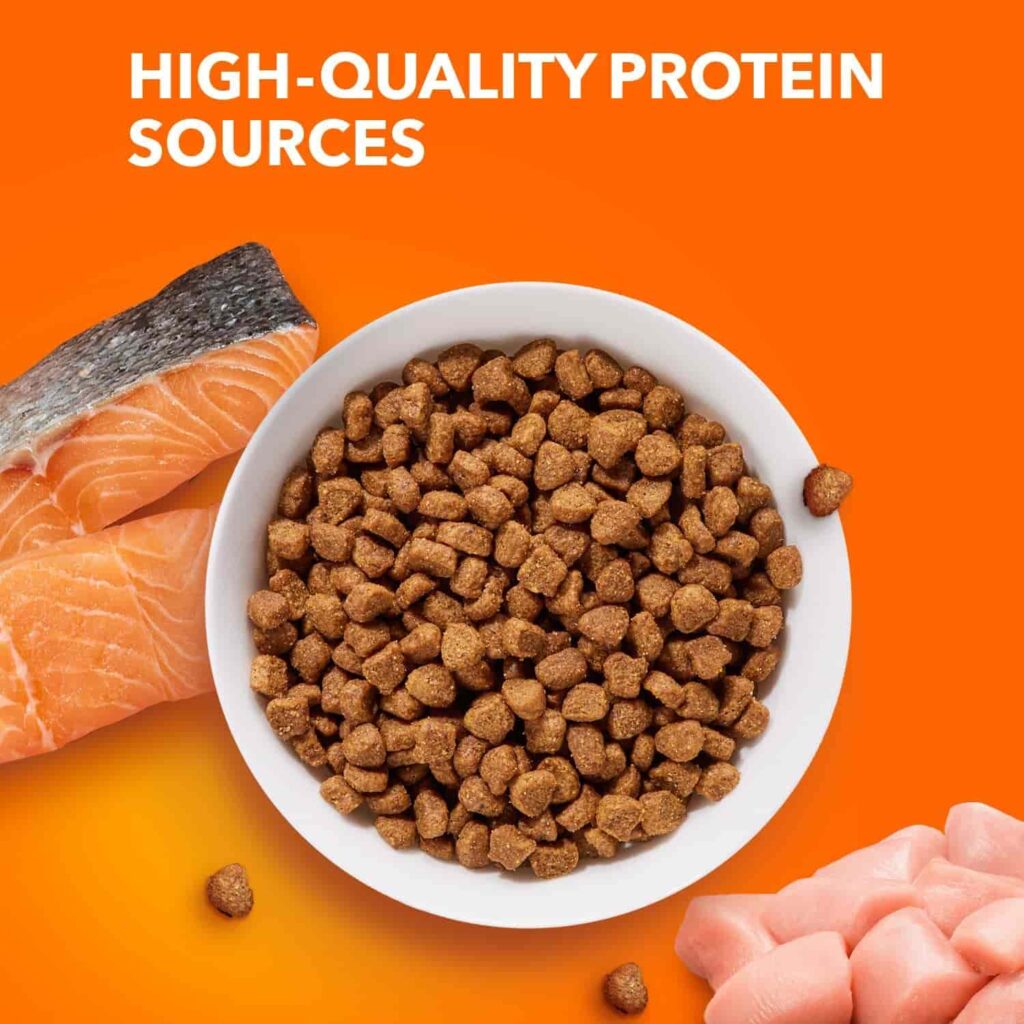 IAMS salmon cat food 16 lb high-quality protein source