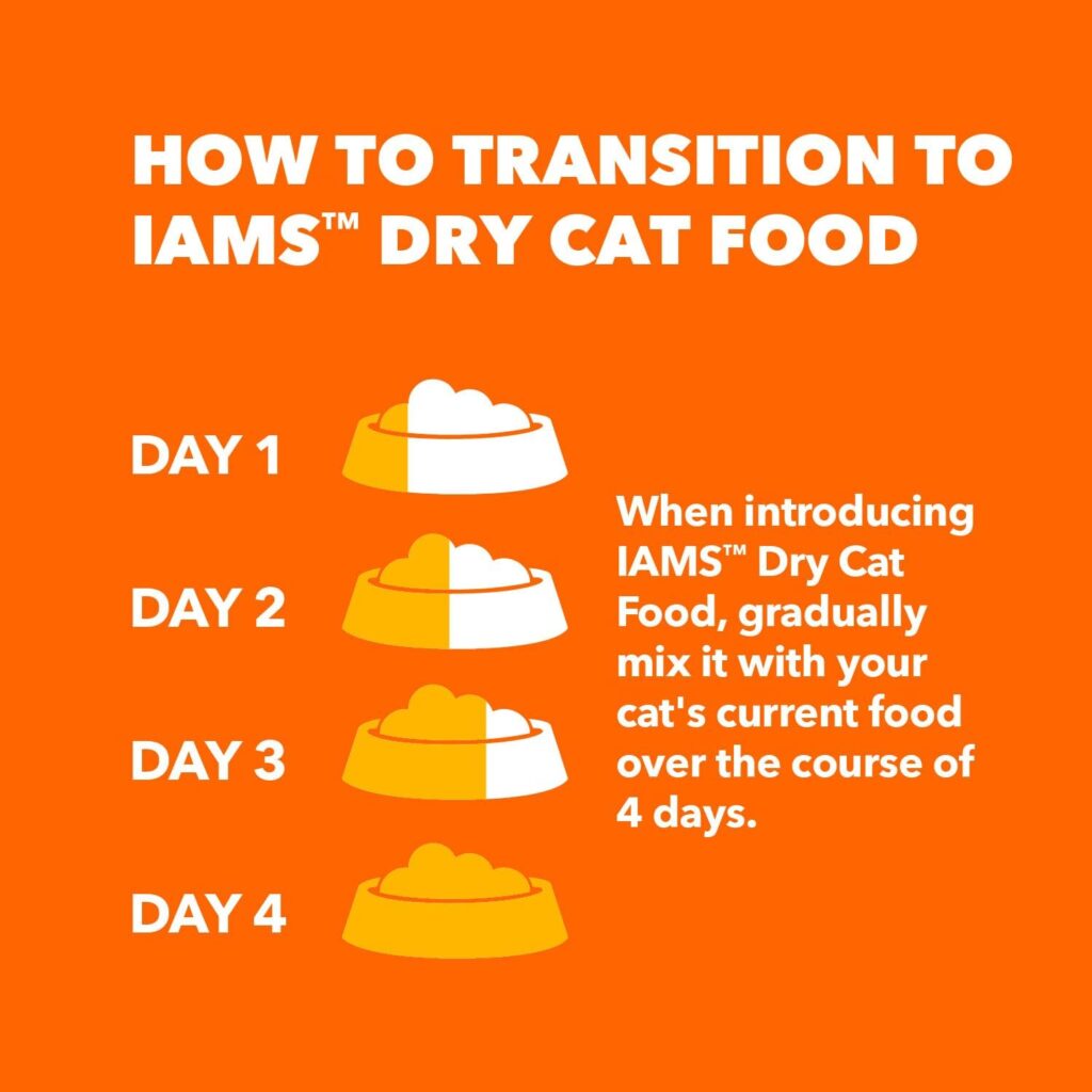 IAMS salmon cat food 16 lb transition plan