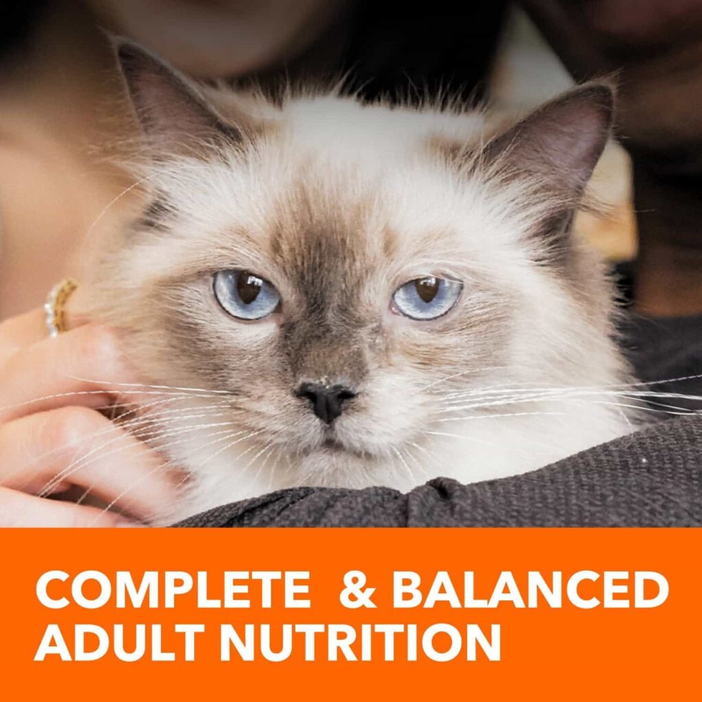 IAMS urinary cat food Complete and balanced nutrition IAMS urinary cat food Complete and balanced nutrition