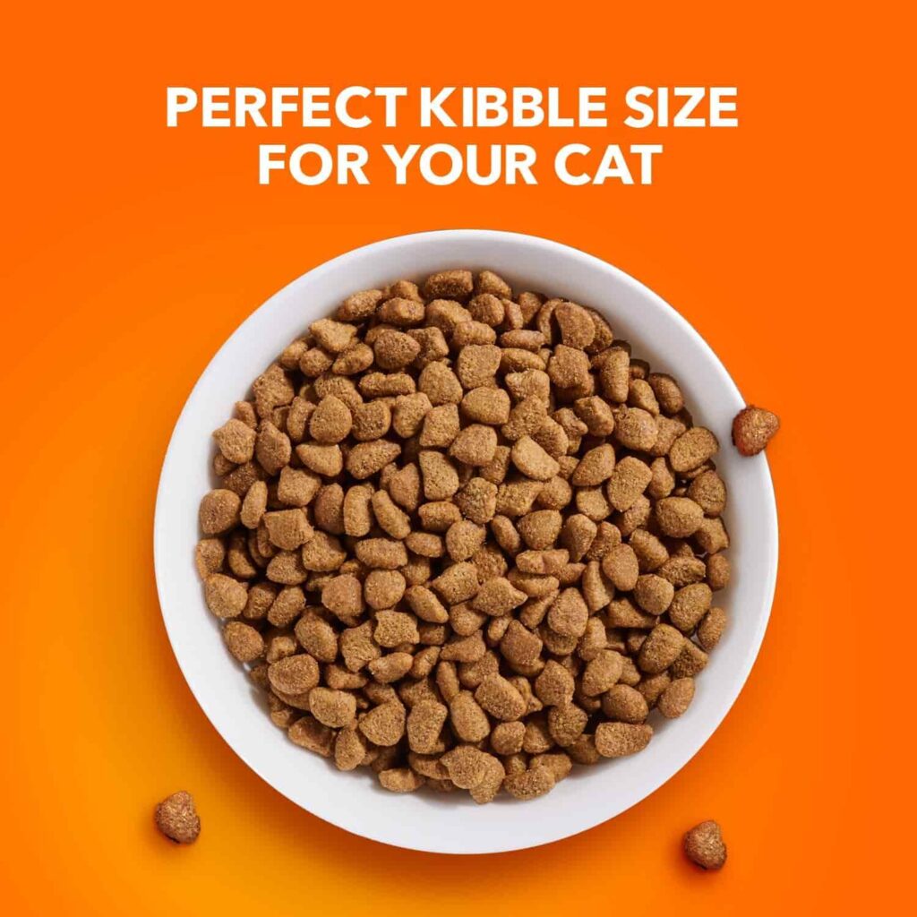 IAMS urinary cat food Perfect kibble for all cats IAMS urinary cat food Perfect kibble for all cats